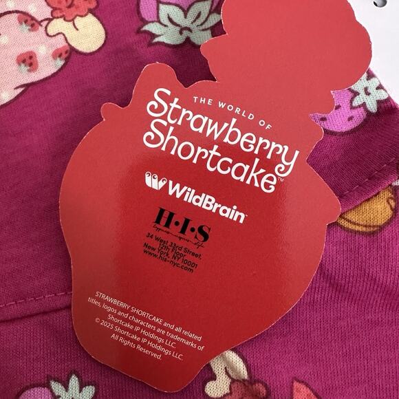 Strawberry Shortcake Baby Girls Short Sleeve Dress size 12 Months New - Picture 3 of 4